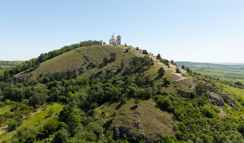 Prodej ubytovacího objektu 820 m², Mikulov – náhled fotky 29