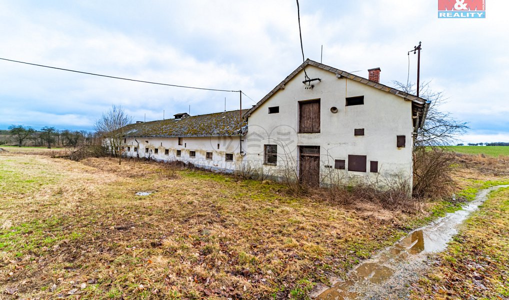 Prodej domu 600 m² s pozemkem 3 000 m², Puclice – náhled fotky 18