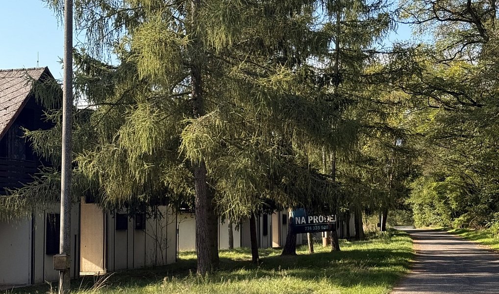 Prodej chaty/chalupy 180 m² s pozemkem 894 m², Račice – náhled fotky 12
