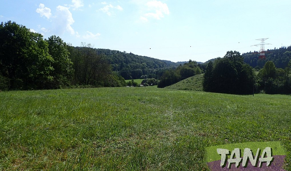 Prodej louky 49 051 m², Hodkovice nad Mohelkou – náhled fotky 13