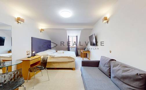 Prodej bytu 1+kk 35 m², Široká, České Budějovice - České Budějovice 1