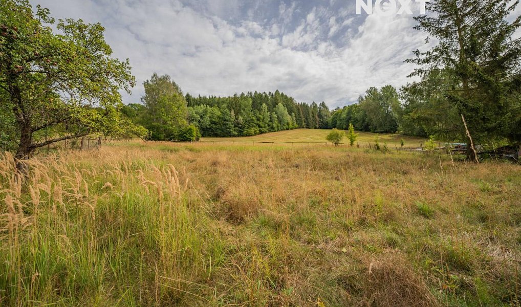 Prodej domu 145 m² s pozemkem 3 257 m², Oskava – náhled fotky 15