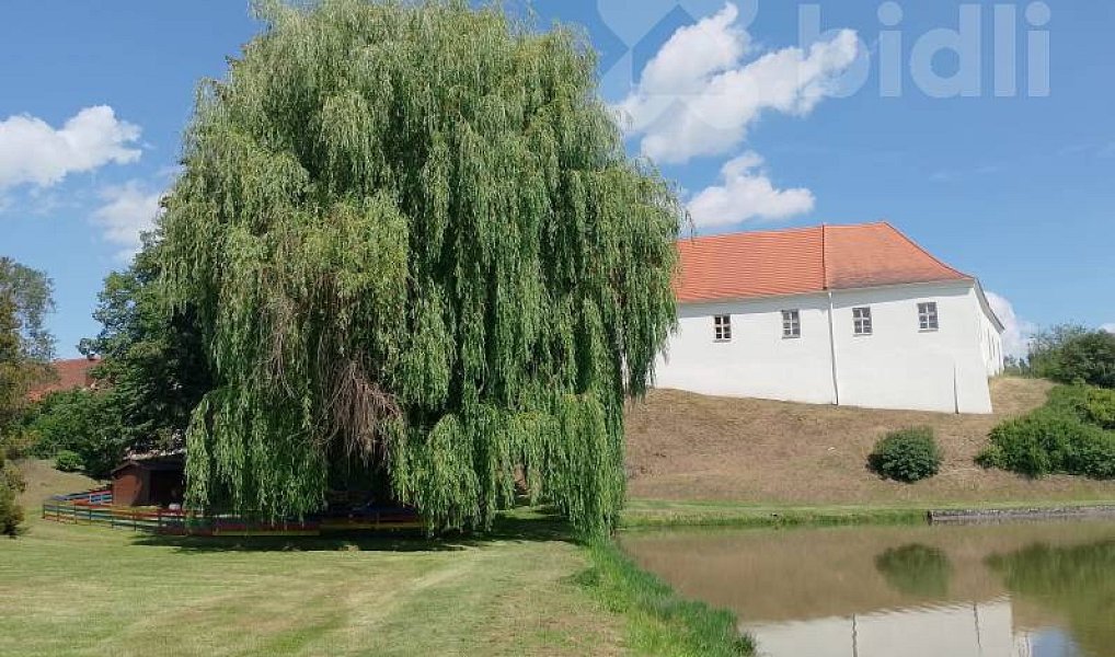 Prodej zahrady 829 m², Puclice – náhled fotky 13