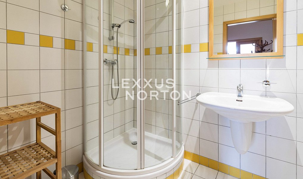 Pronájem bytu atypického 90 m², Praha – náhled fotky 11