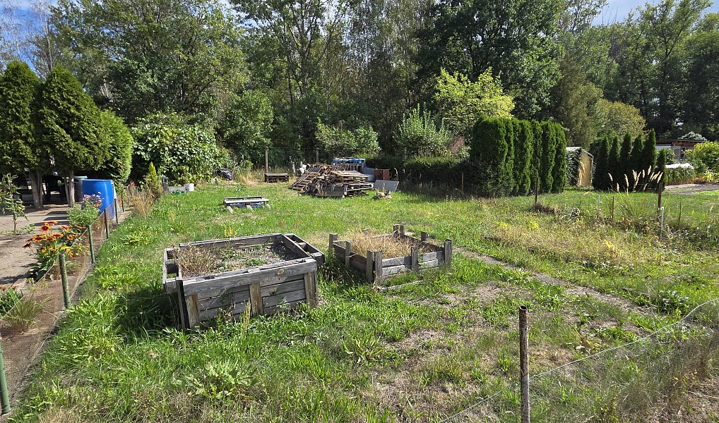Pronájem zahrady 200 m², Rybitví – náhled fotky 7