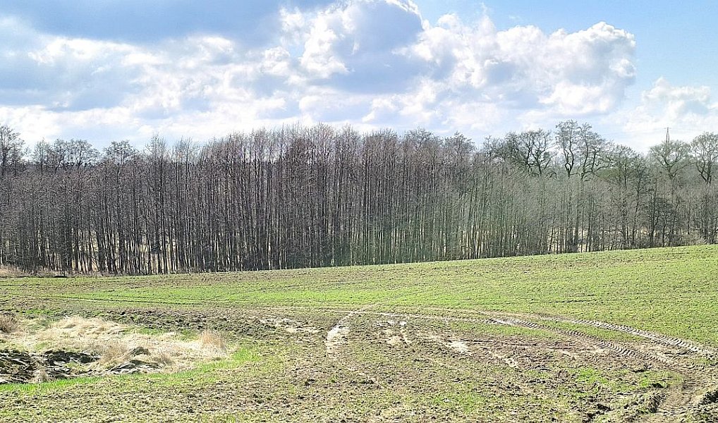 Prodej pozemku 11 892 m², Františkovy Lázně – náhled fotky 2