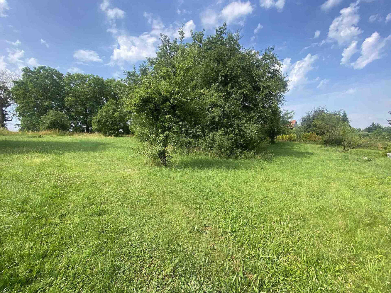 Prodej stavebního pozemku 2 458 m² – fotografie 2
