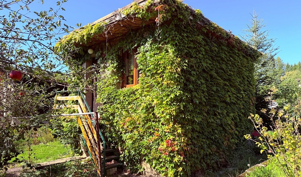 Prodej zahrady, 392 m², Nový Jičín, Příbor