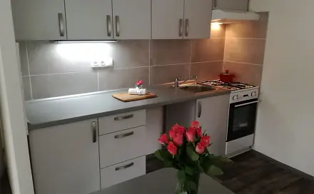 Prodej bytu 2+kk 45 m², Zelená, Ostrava - Moravská Ostrava