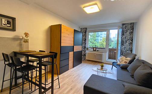Pronájem bytu 1+kk 28 m², Svat. Čecha, Bohumín - Nový Bohumín, okres Karviná