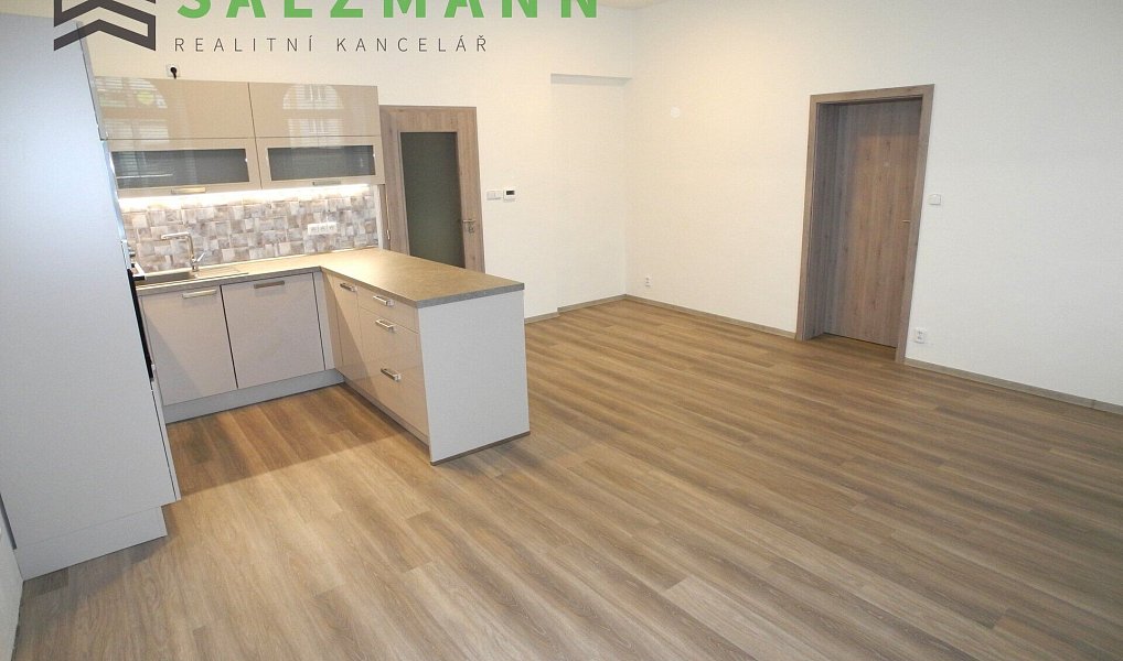 Pronájem bytu 3+kk 79 m², Plzeň – náhled fotky 7