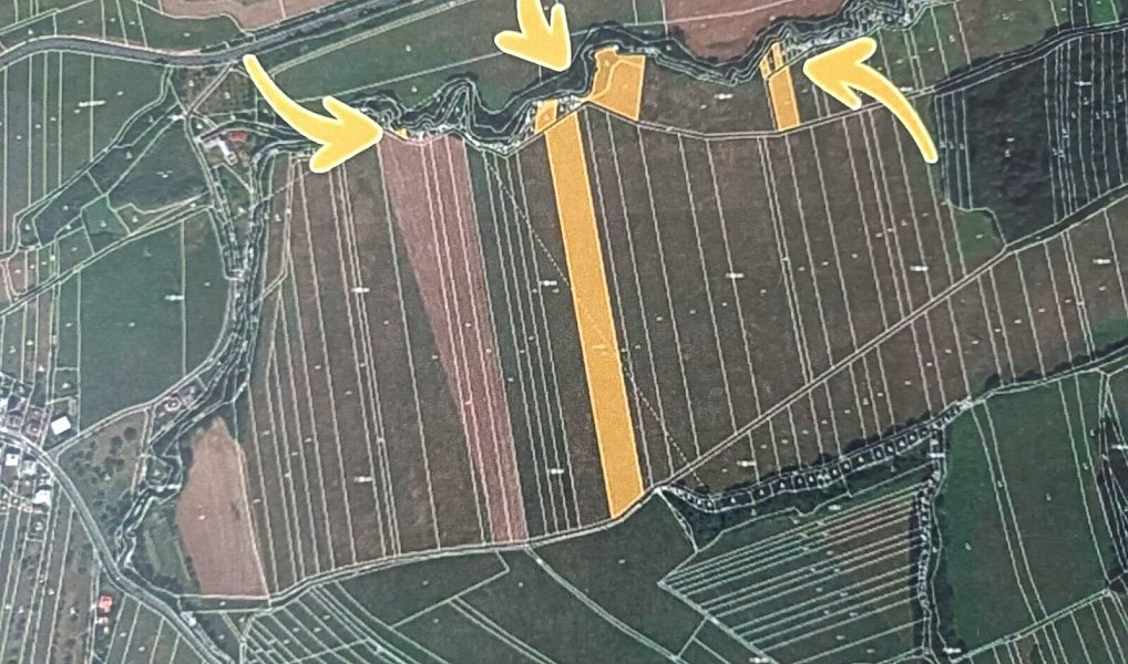 Prodej pole 7 286 m², Podolí – náhled fotky 3