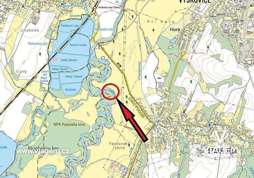 Prodej pole 2 459 m² – fotografie 4