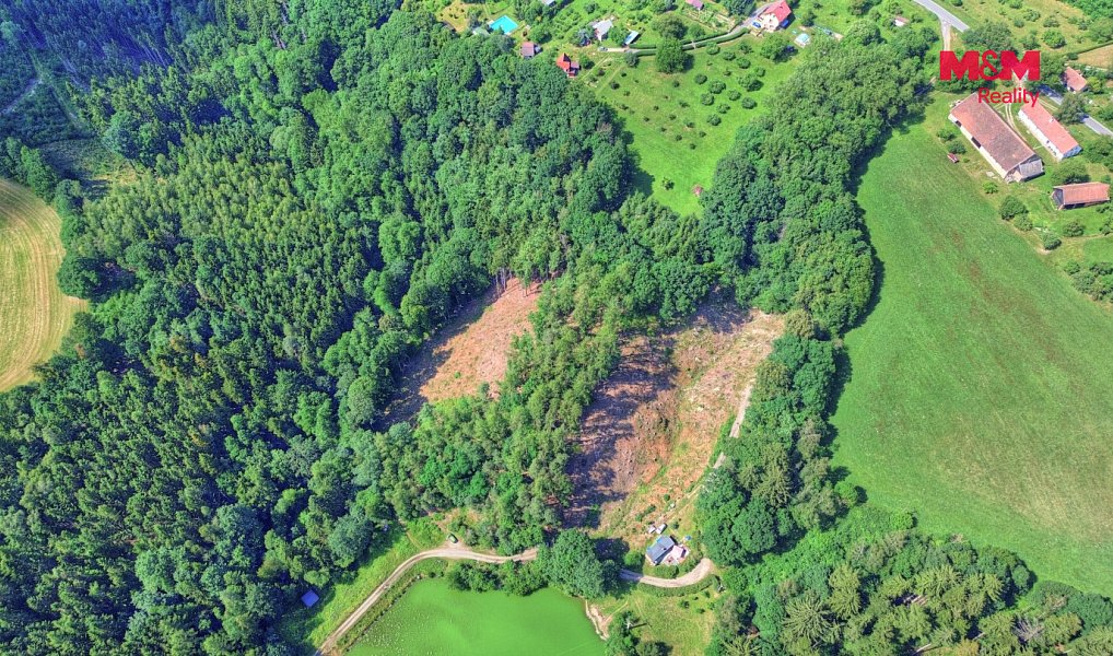 Prodej lesa 32 996 m², Ohnišov – náhled fotky 2