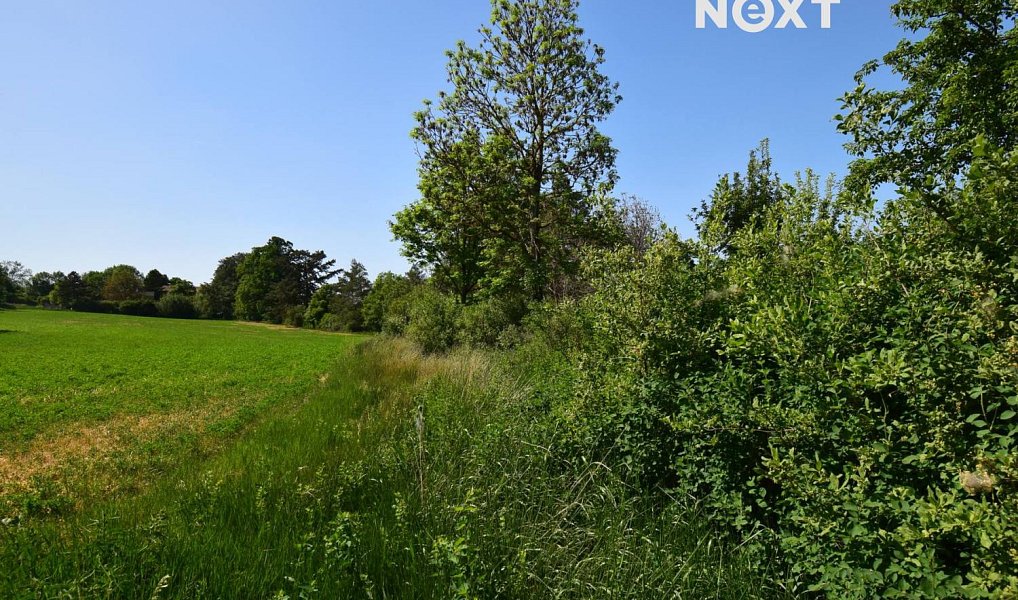 Prodej louky 7 326 m², Šlapanice – náhled fotky 8