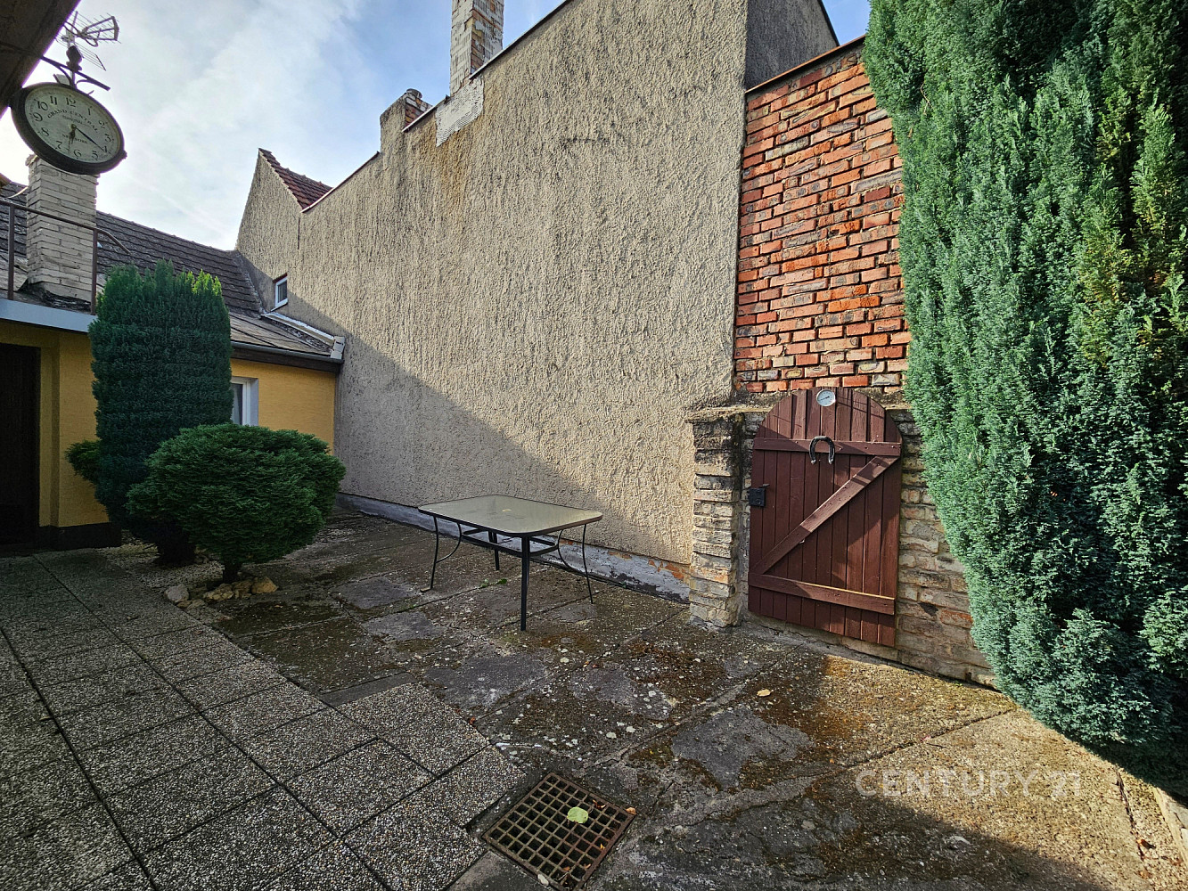 Fotka 14 z 19