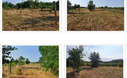 Prodej pole 1 923 m², Kaštelir-Labinci, Istarska županija, Chorvatsko