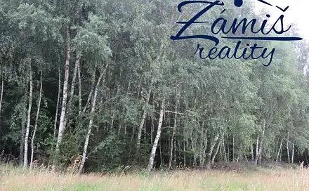 Prodej lesa 7 200 m², Pohledy, okres Svitavy