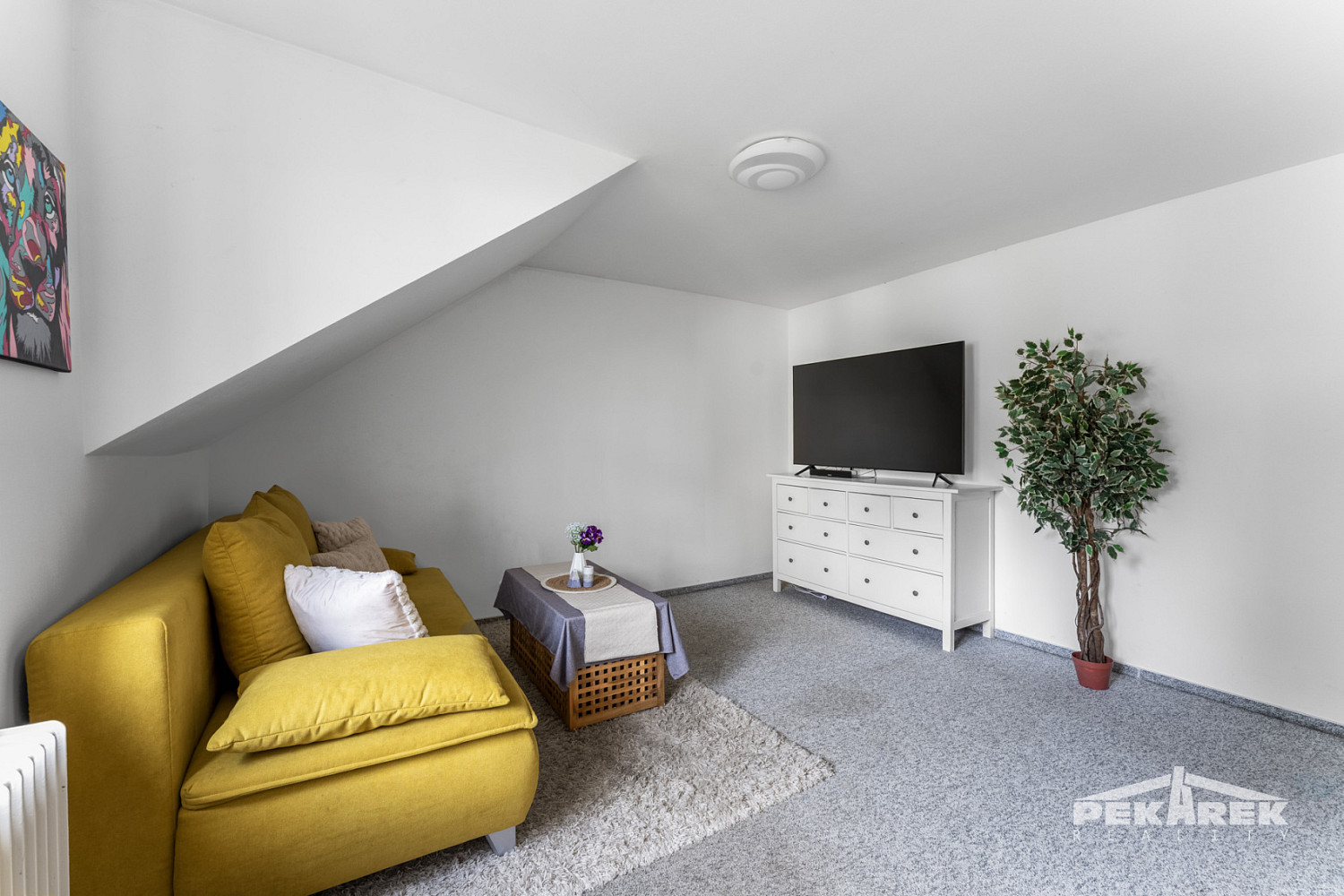 Fotka 14 z 30