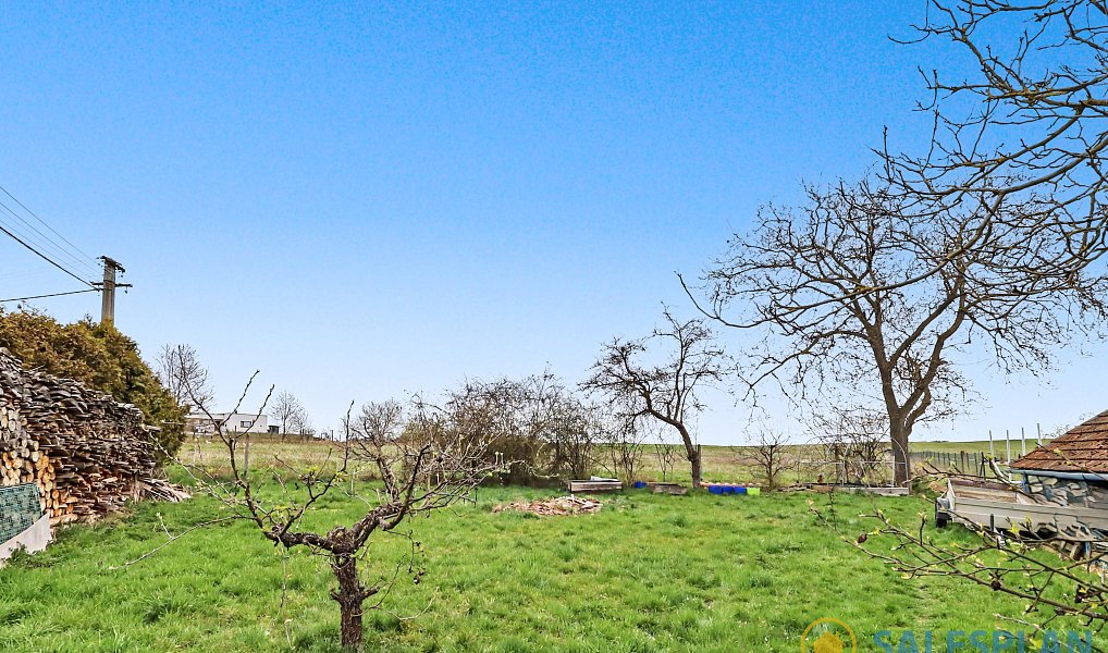 Prodej stavebního pozemku 11 486 m², Žďárec – náhled fotky 6