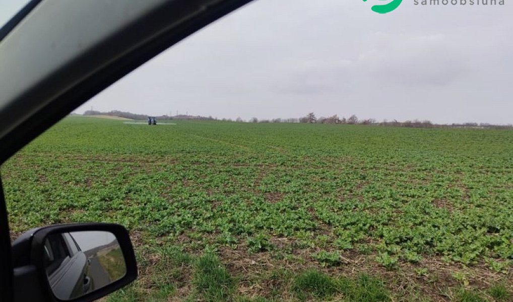 Prodej pole 130 900 m², Mašťov – náhled fotky 3
