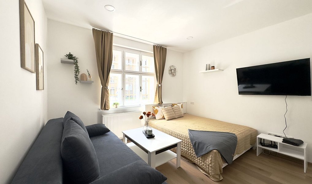Pronájem bytu 1+kk 28 m², Liberec – náhled fotky 3