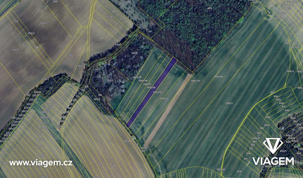 Prodej pole 361 m², Soběsuky – náhled fotky 4