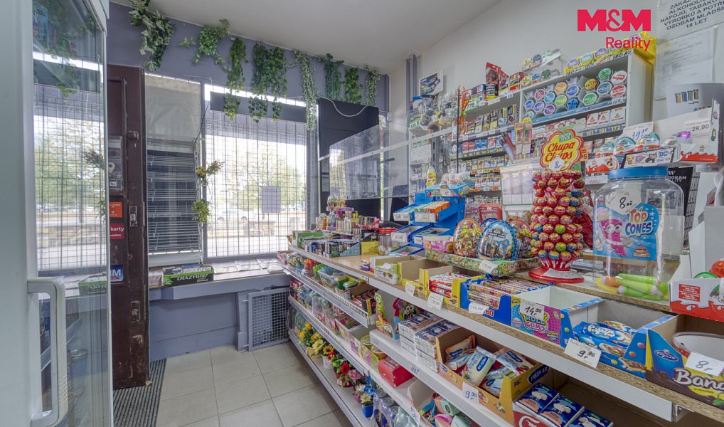 Pronájem obchodních prostor 26 m², Plzeň – náhled fotky 7