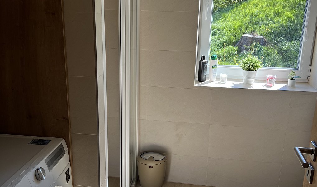 Pronájem bytu 3+kk 55 m², Nový Knín – náhled fotky 12