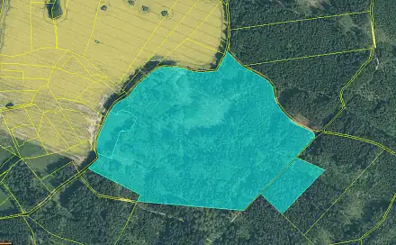 Prodej lesa 154 293 m², Milevsko - Klisín, okres Písek