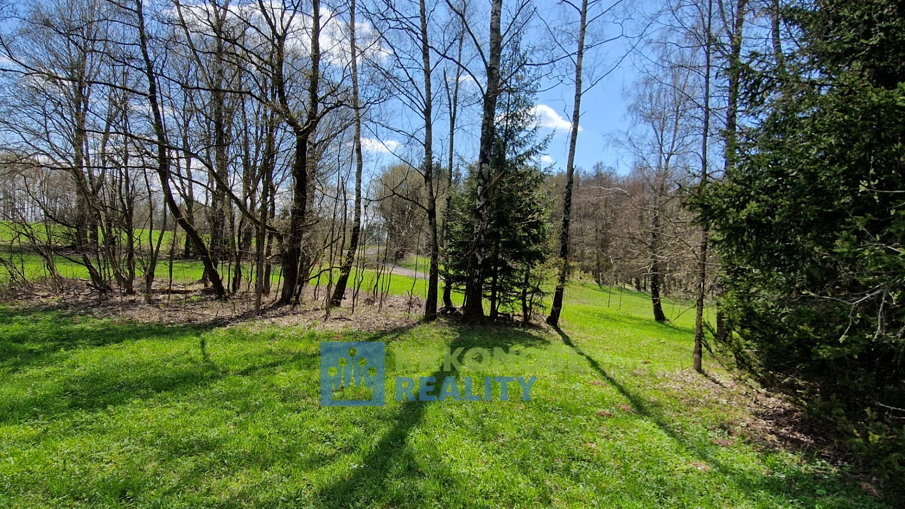 Prodej pozemku 2 788 m²