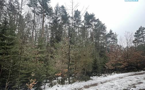 Prodej lesa 12 219 m², Záhoří - Smrčí, okres Semily