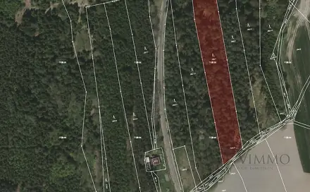 Prodej lesa 12 320 m², Borovany - Trocnov, okres České Budějovice