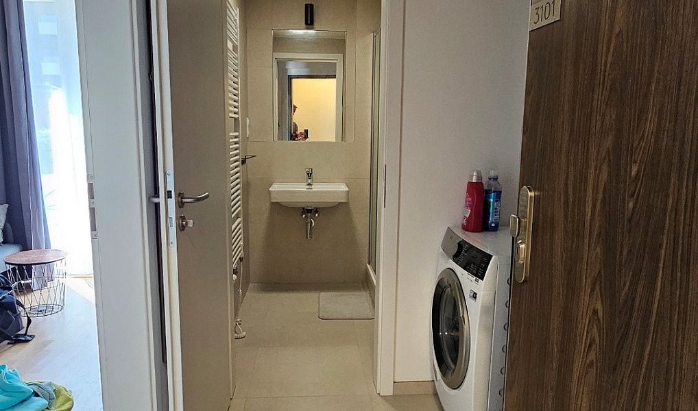Pronájem bytu 1+kk 26 m², Praha – náhled fotky 10