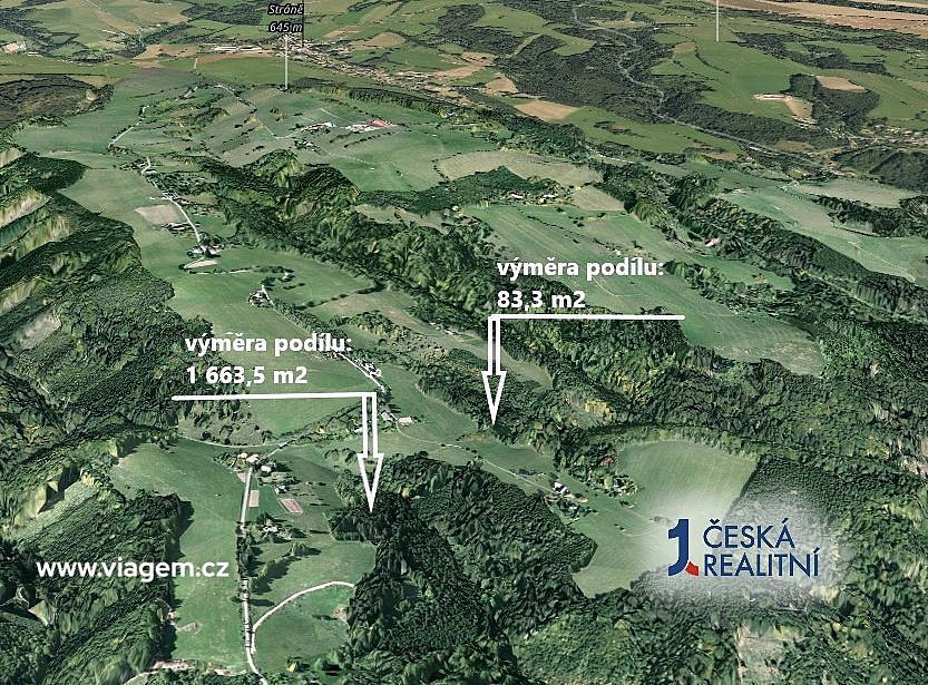 Prodej lesa 1 746 m² – fotografie 2