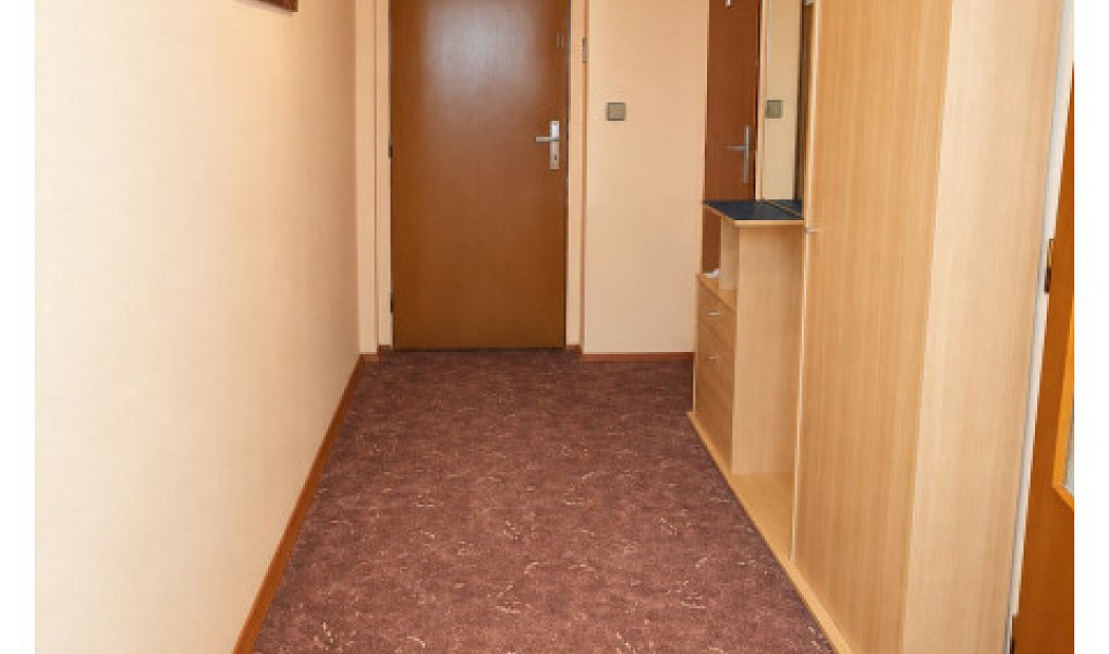Prodej bytu 3+1 77 m², České Budějovice – náhled fotky 20