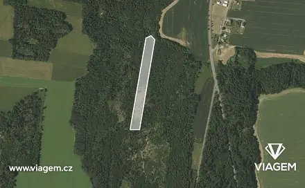 Prodej lesa 15 886 m², Březová, okres Opava