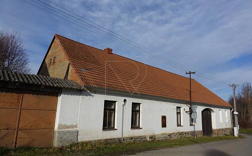 Prodej obchodních prostor 200 m², Roubíčkov, Načeradec, okres Benešov