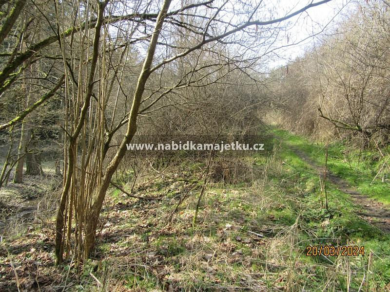 Prodej pozemku 2 519 m² – fotografie 2