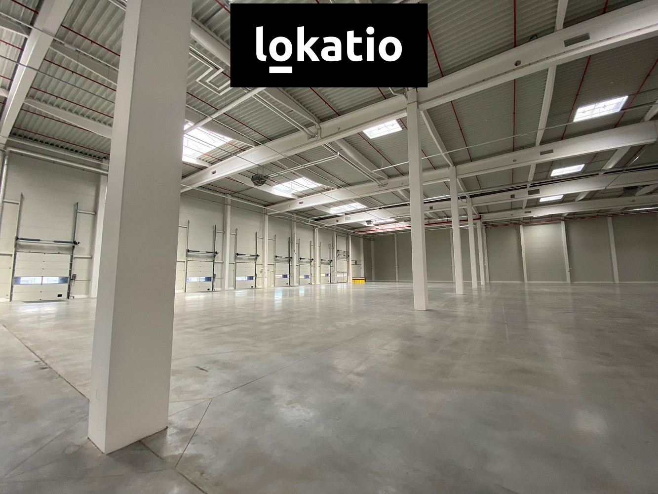 Pronájem skladovacích prostor 2 000 m² — photo 3