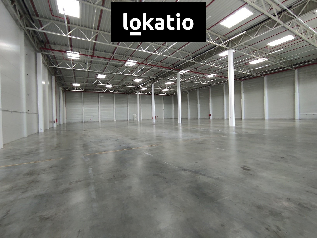 Pronájem skladovacích prostor 2 733 m² — photo 4