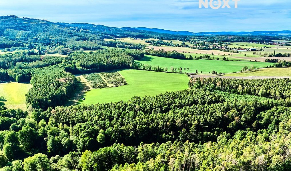 Prodej lesa 13 404 m², Hradce – náhled fotky 5