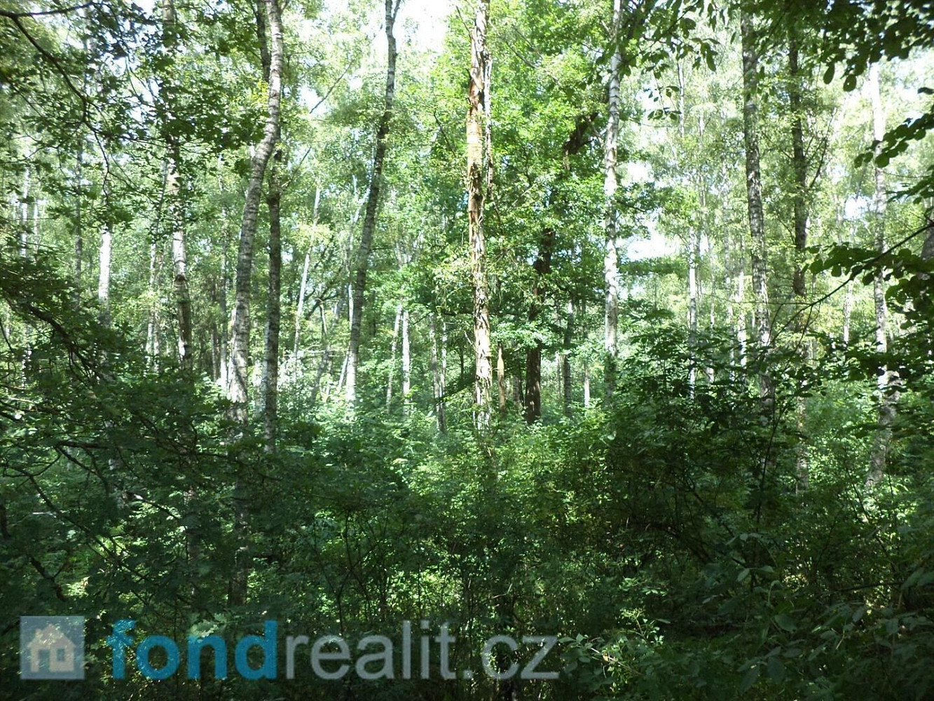 Prodej pozemku 20 120 m² – fotografie 5