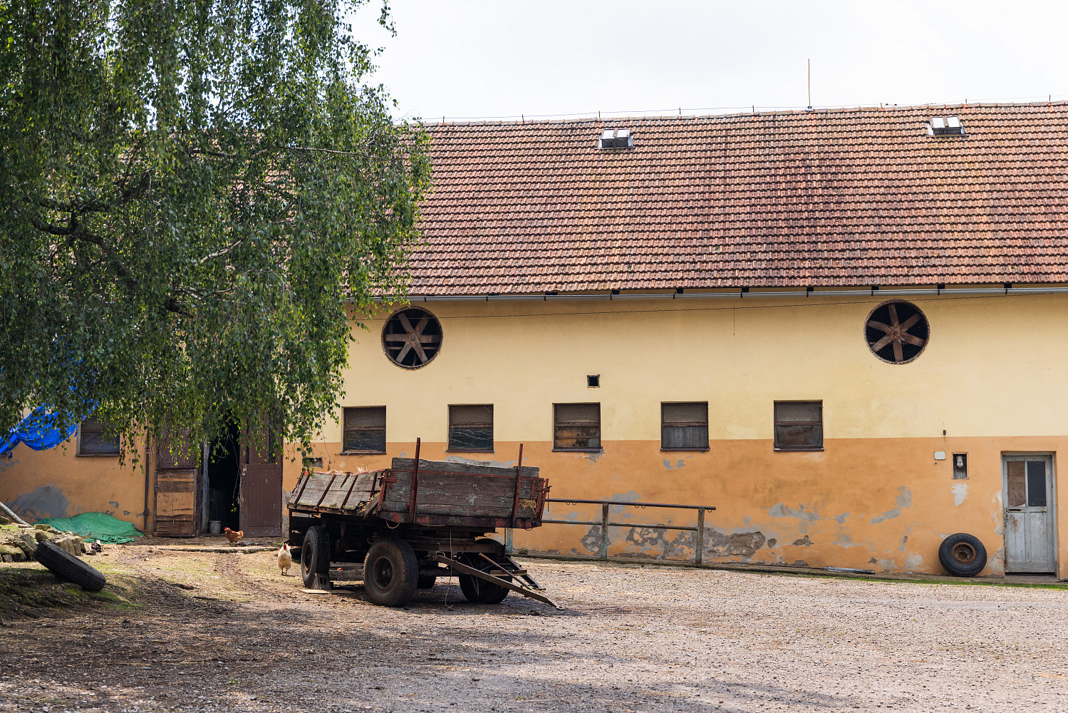 Prodej zemědělského objektu 23 296 m² – fotografie 4