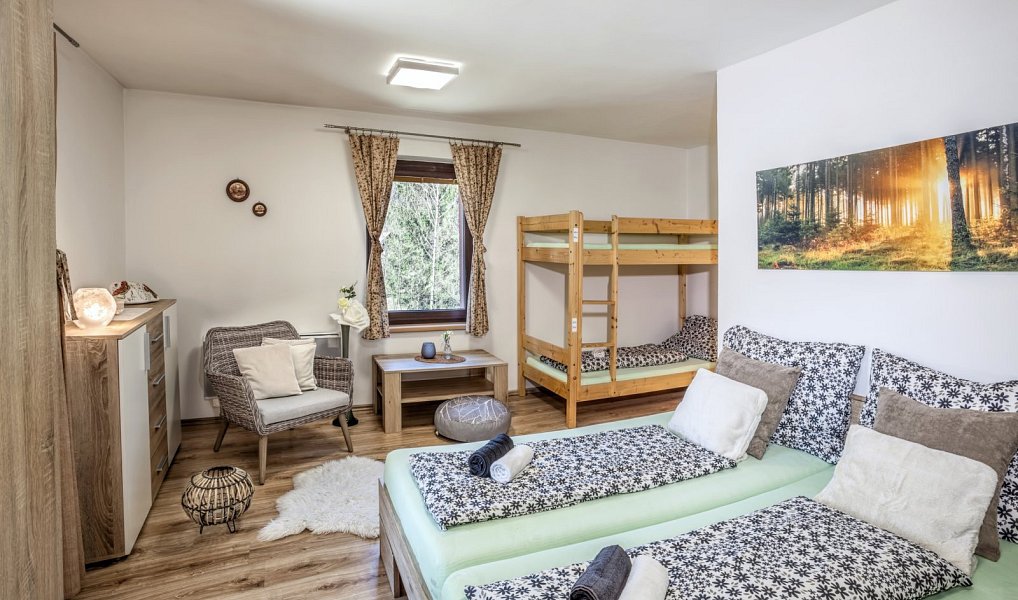 Prodej domu 300 m² s pozemkem 4 332 m², Karolinka – náhled fotky 19