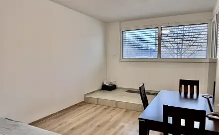 Prodej bytu 2+1 57 m², U Červeného mlýna, Brno - Ponava