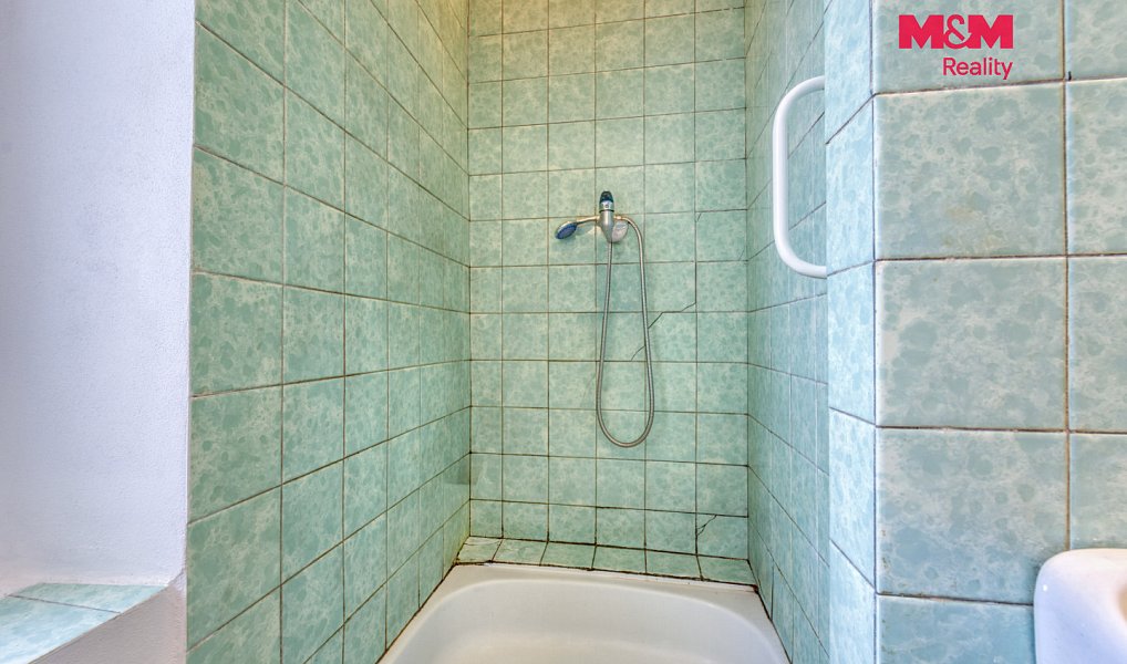 Prodej bytu 1+1 45 m², Plzeň – náhled fotky 11