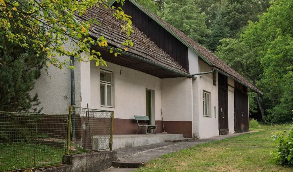 Prodej domu 70 m² s pozemkem 1 940 m², Nová Ves – náhled fotky 19