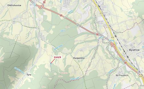 Dražba lesa 1 981 m², Košařiska