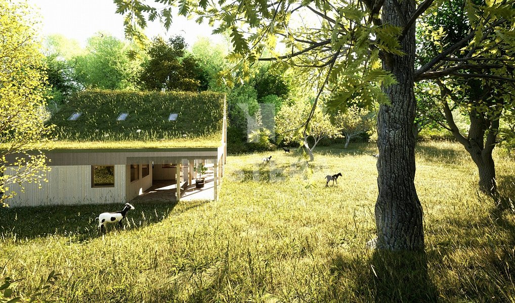 Prodej stavebního pozemku 5 321 m², Úholičky – náhled fotky 11